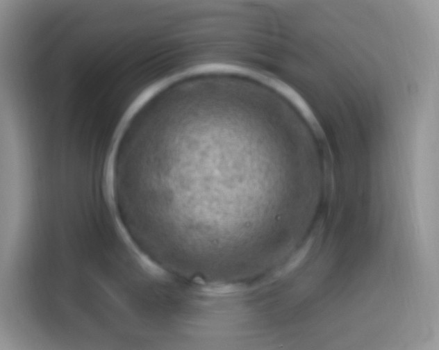 X0000113861199200910011015