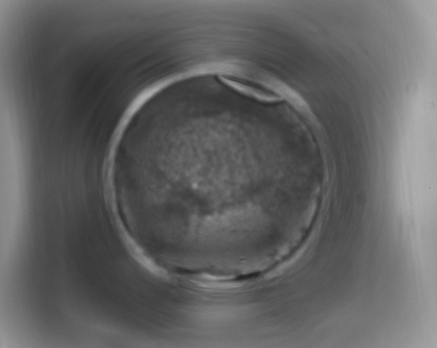 X0000113861200200910011015