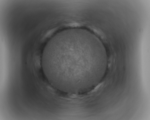 X0000113861205200910011014