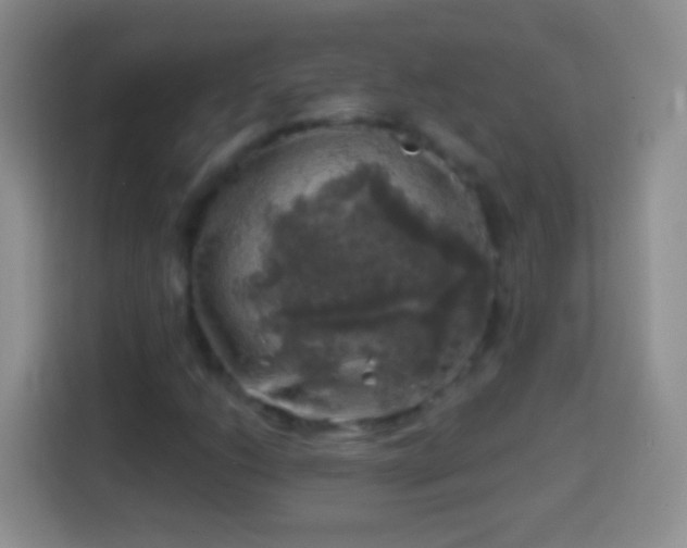 X0000113861206200910011014