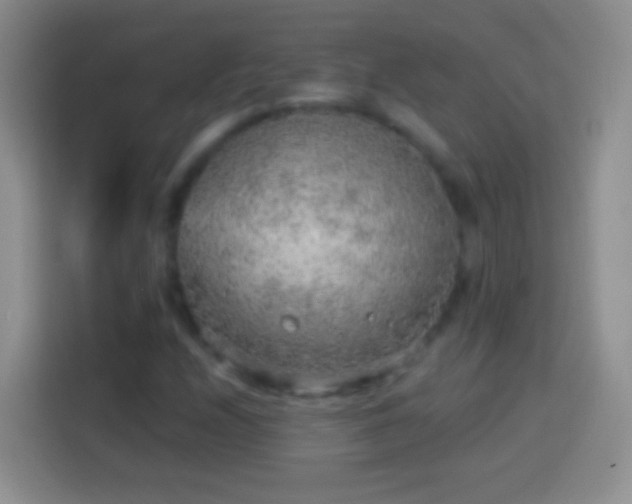 X0000113861208200910011014