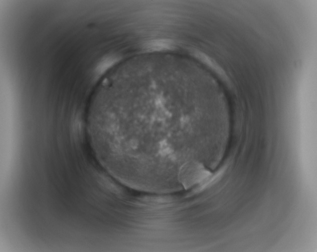 X0000113861210200910011014