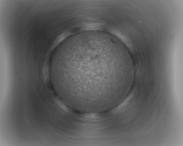 X0000113861211200910011014