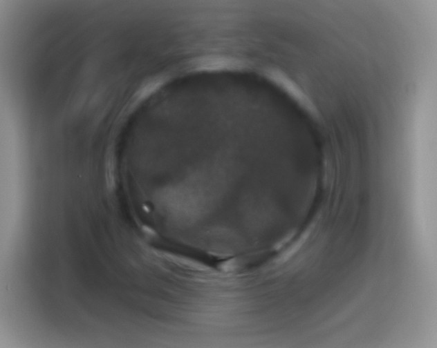 X0000113861213200910011014