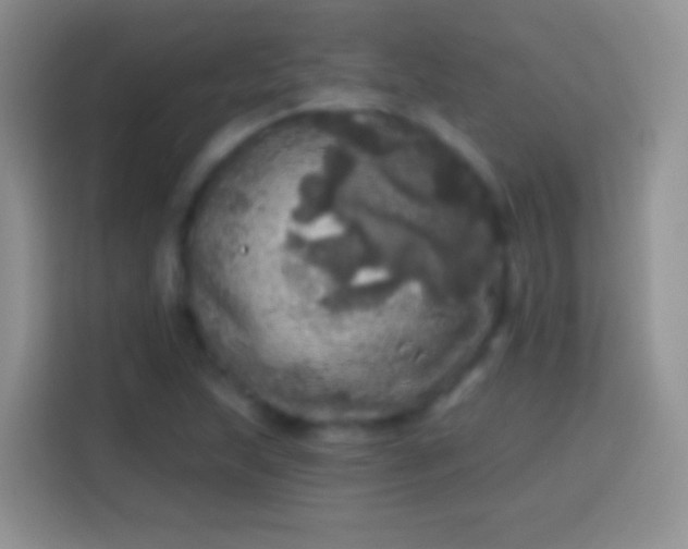 X0000113861215200910011014