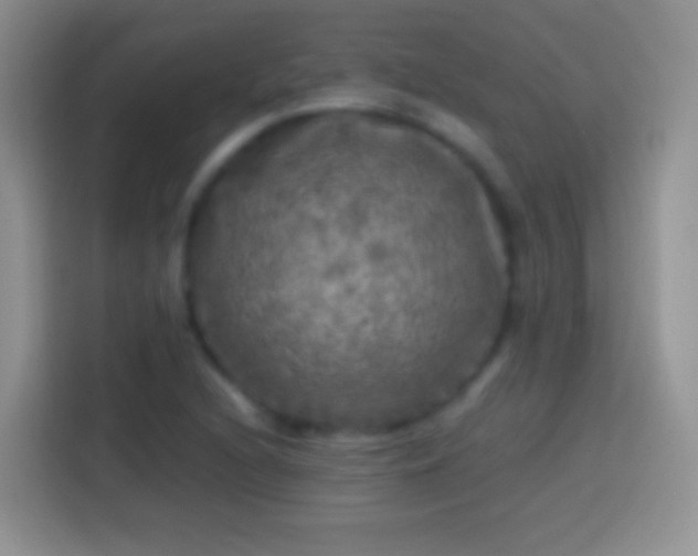 X0000113861216200910011014