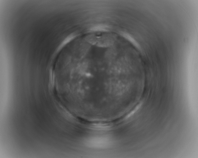 X0000113861219200910011015