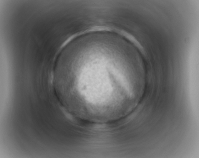 X0000113861220200910011015