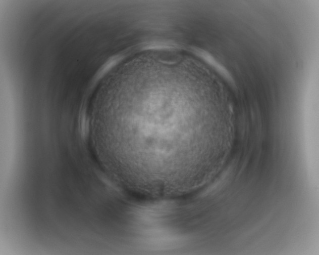 X0000113861221200910011015
