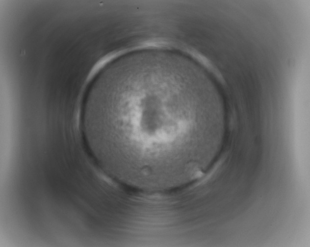 X0000113861222200910011015