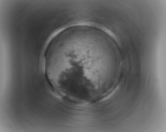 X0000113861223200910011015