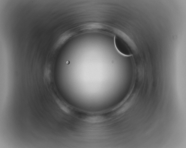X0000113861225200910011015