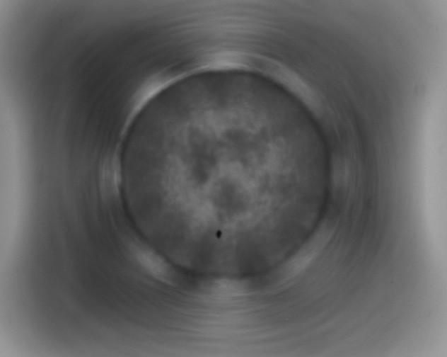 X0000113861226200910011015