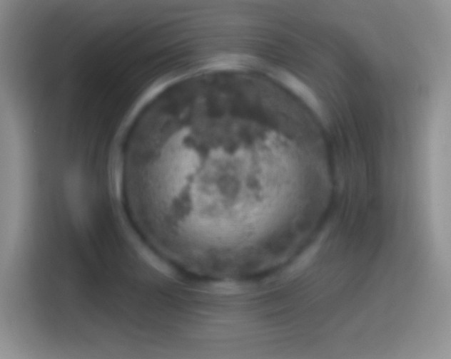 X0000113861227200910011015