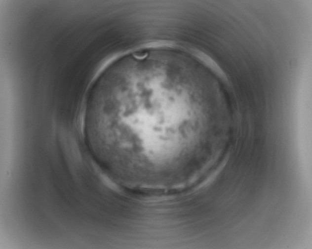 X0000113861228200910011015