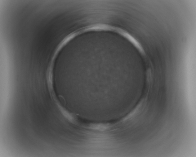 X0000113861229200910011015