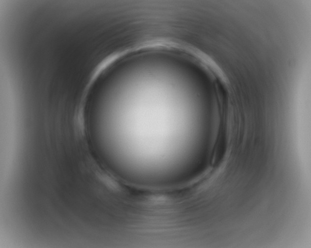 X0000113861230200910011015