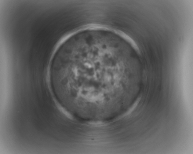 X0000113861231200910011015