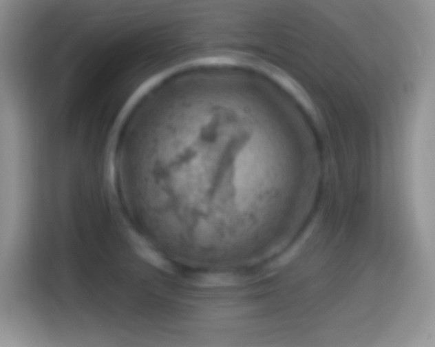 X0000113861232200910011015