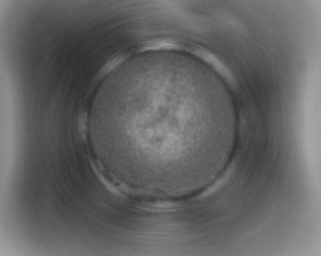 X0000113861233200910011015