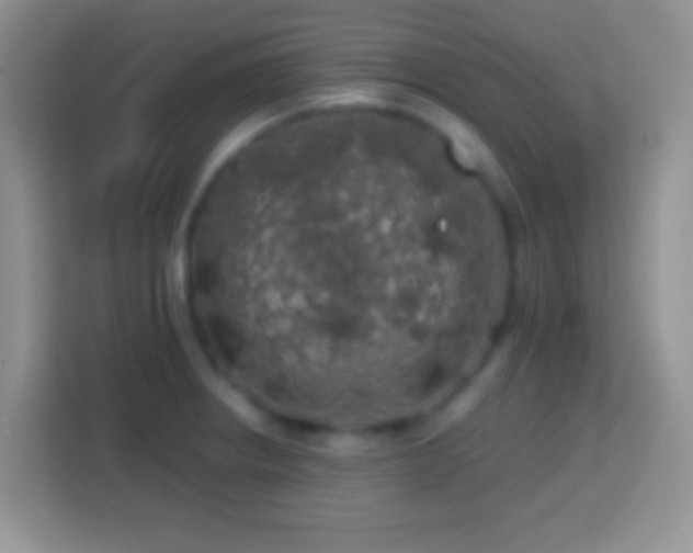 X0000113861234200910011015
