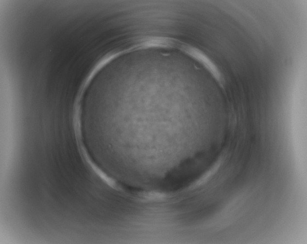 X0000113861235200910011015
