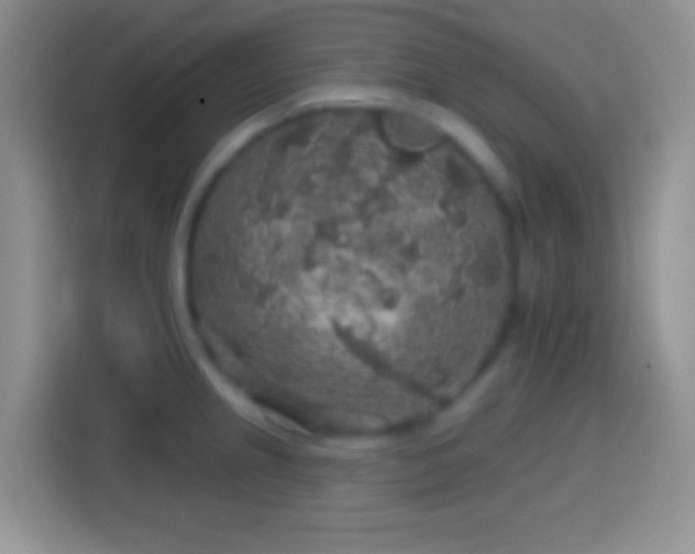 X0000113861237200910011015