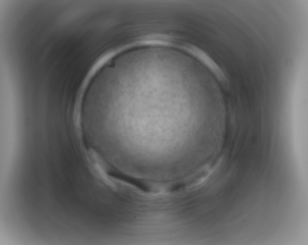 X0000113861240200910011015