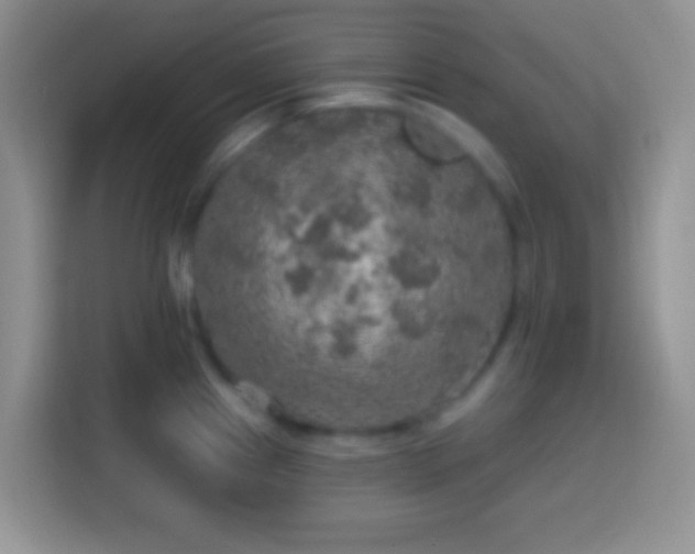 X0000113861241200910011015