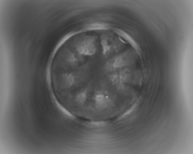 X0000113861243200910011015