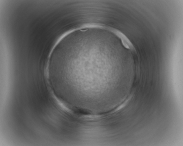 X0000113861244200910011015