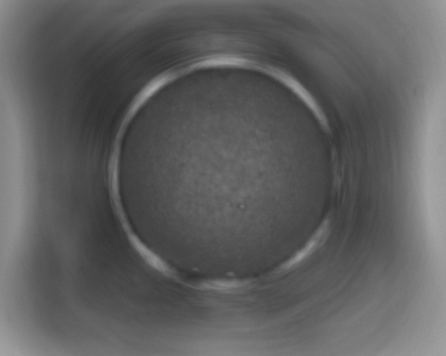 X0000113861245200910011015