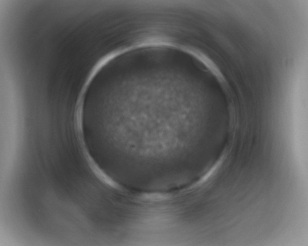 X0000113861246200910011015
