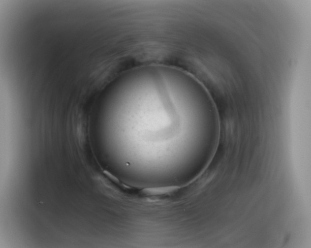 X0000113861250200910011014