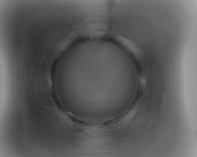 X0000113861252200910011014