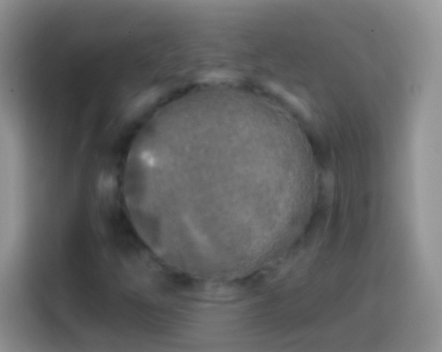 X0000113861254200910011014