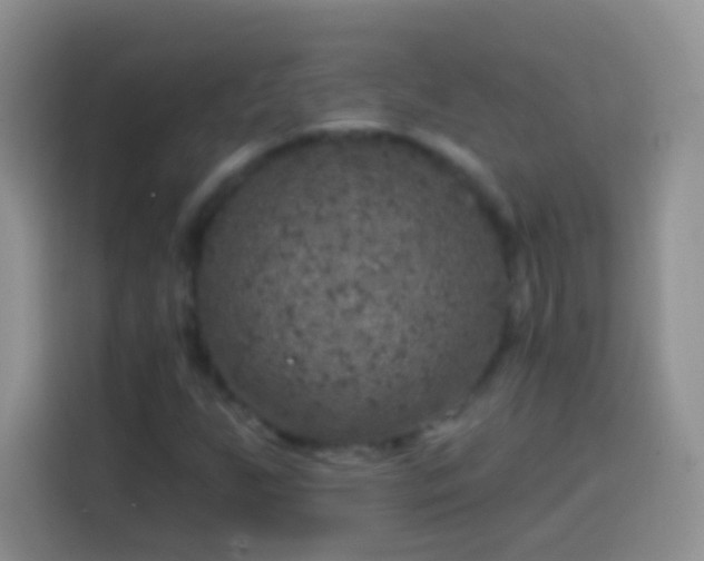X0000113861255200910011014