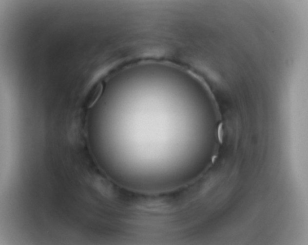 X0000113861256200910011014