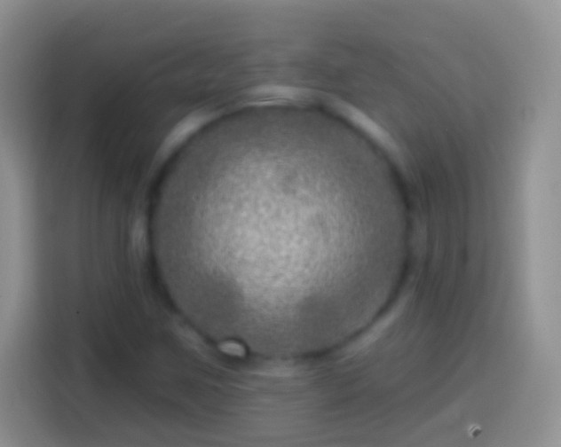 X0000113861259200910011014