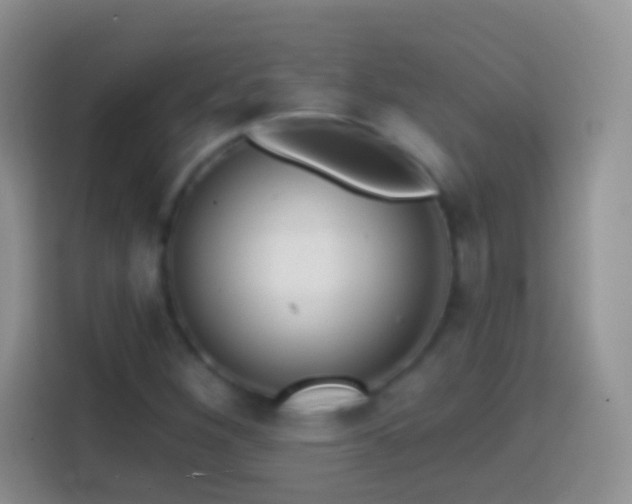 X0000113861260200910011014