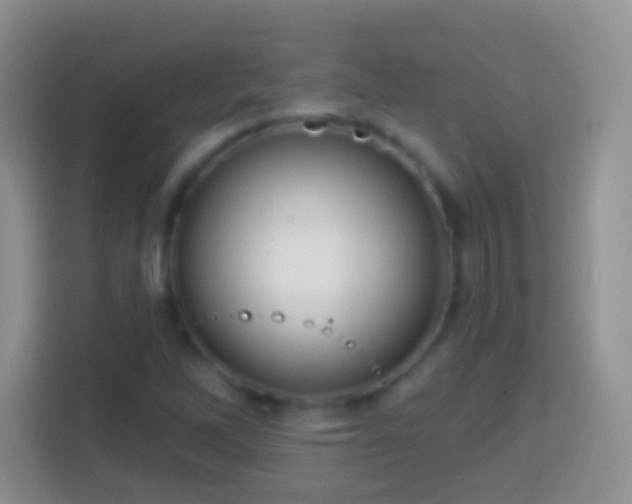 X0000113861262200910011014