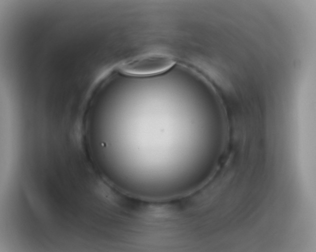 X0000113861264200910011014