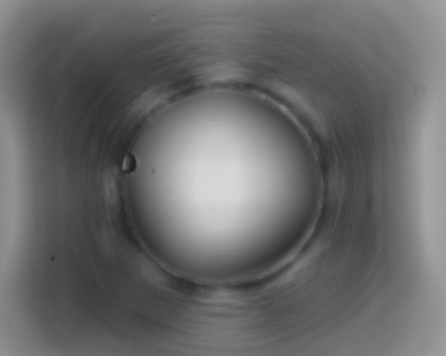 X0000113861265200910011014