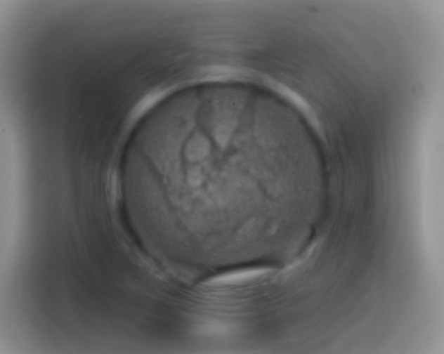 X0000113861267200910011014