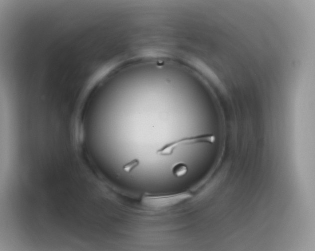 X0000113861269200910011014