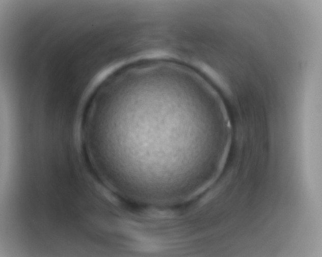 X0000113861270200910011014
