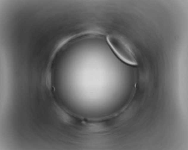 X0000113861272200910011014
