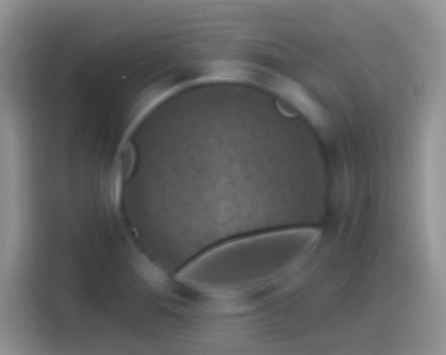 X0000113861276200910011014