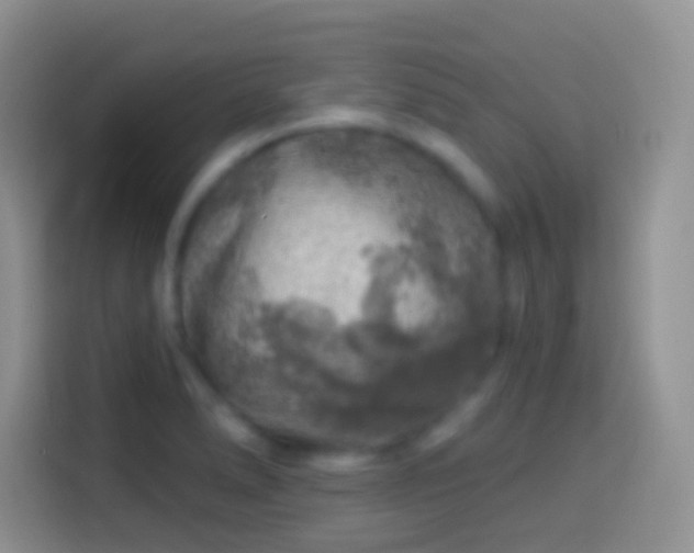 X0000113861278200910011014