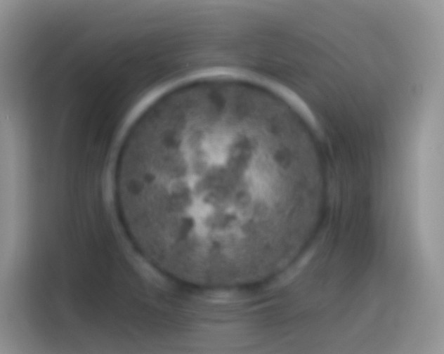 X0000113861279200910011014